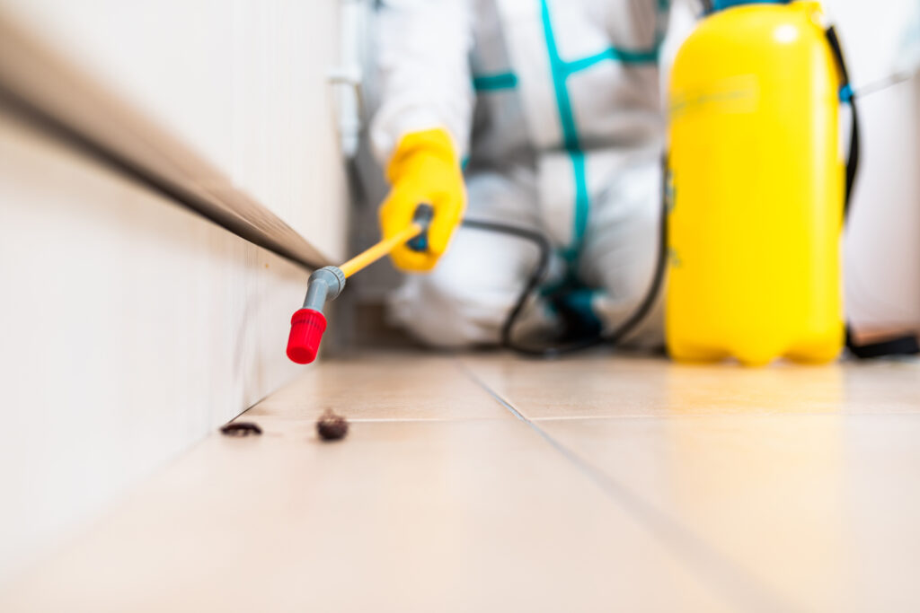 Lancaster Cockroach Experts