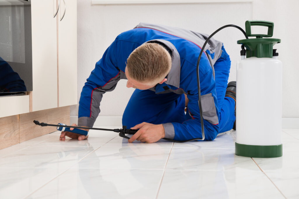Lancaster Ant Control Xperts