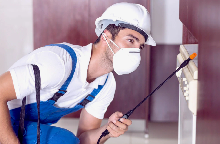 Lancaster local pest services